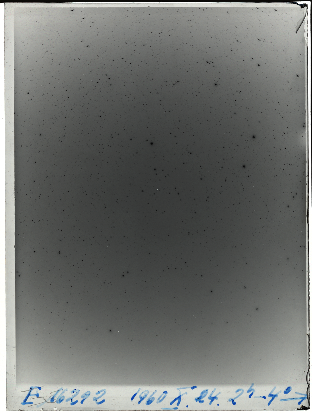 Plate preview