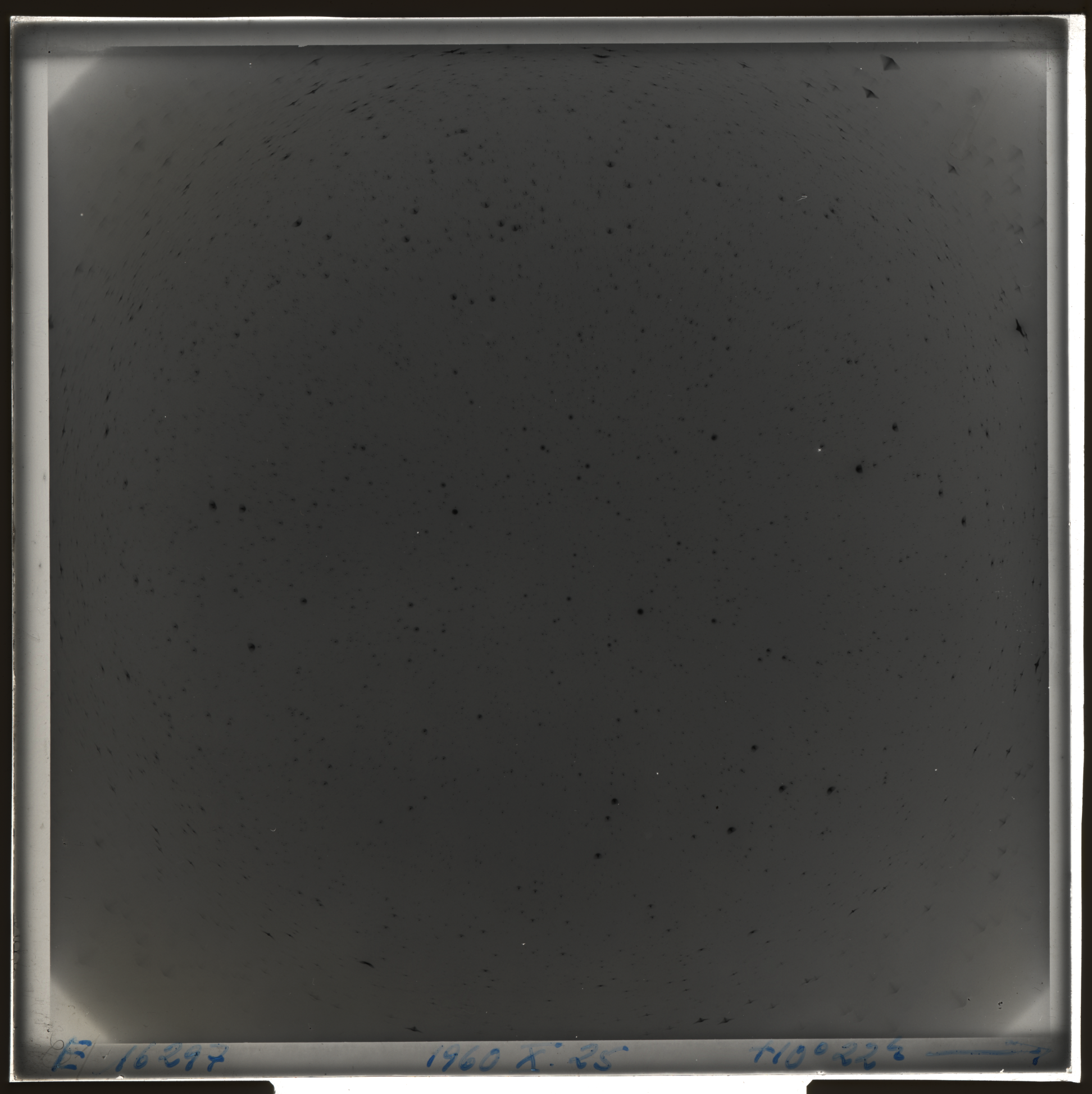 Plate preview