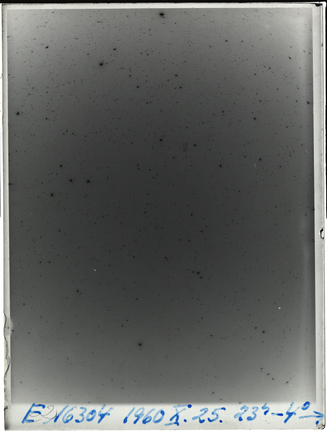 Plate preview