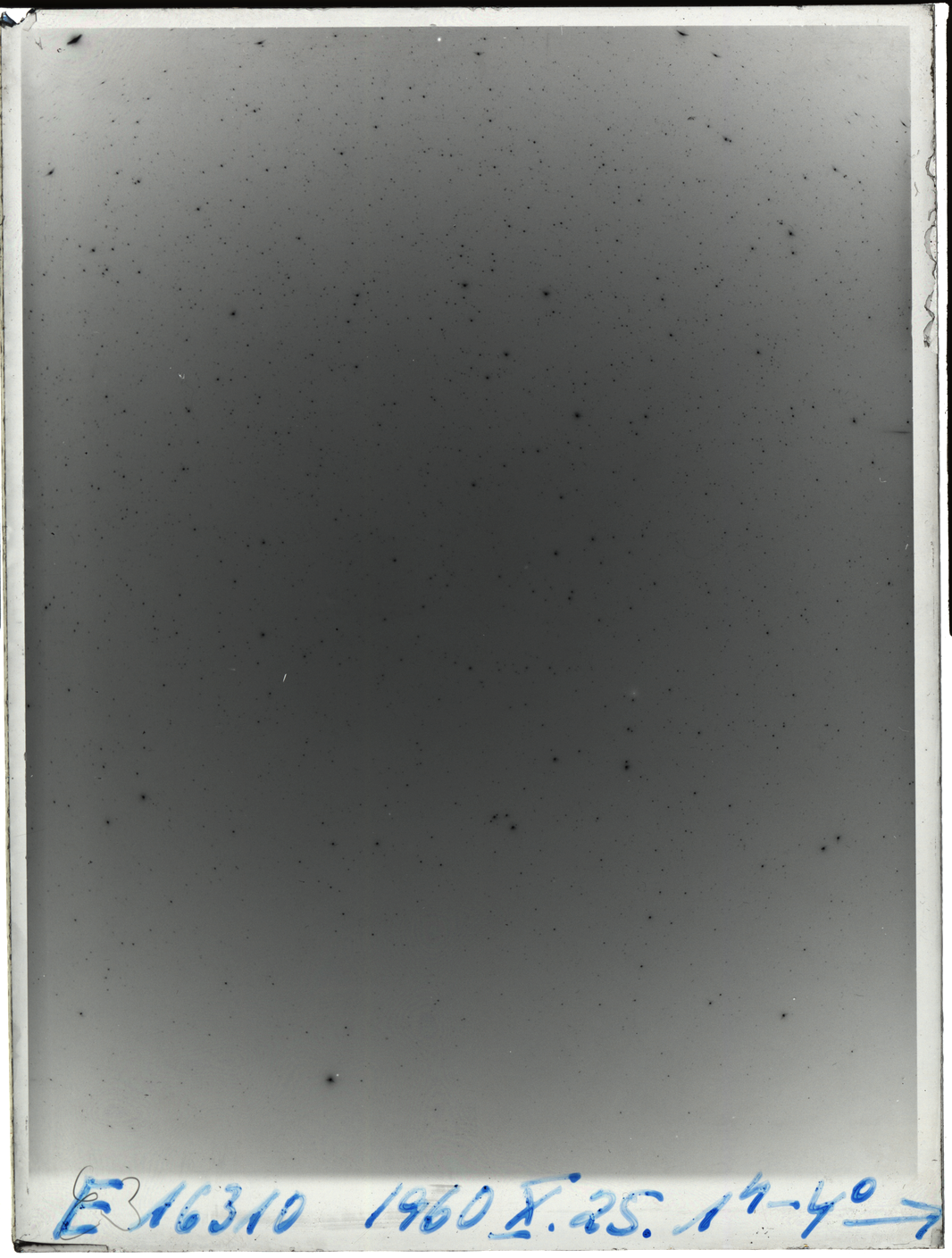 Plate preview