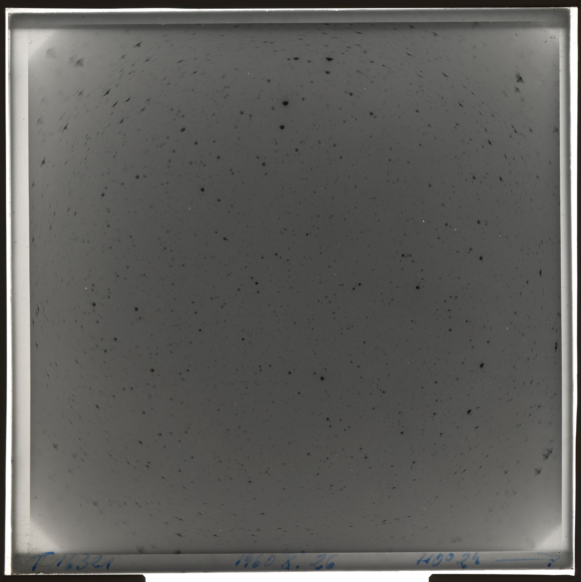 Plate preview