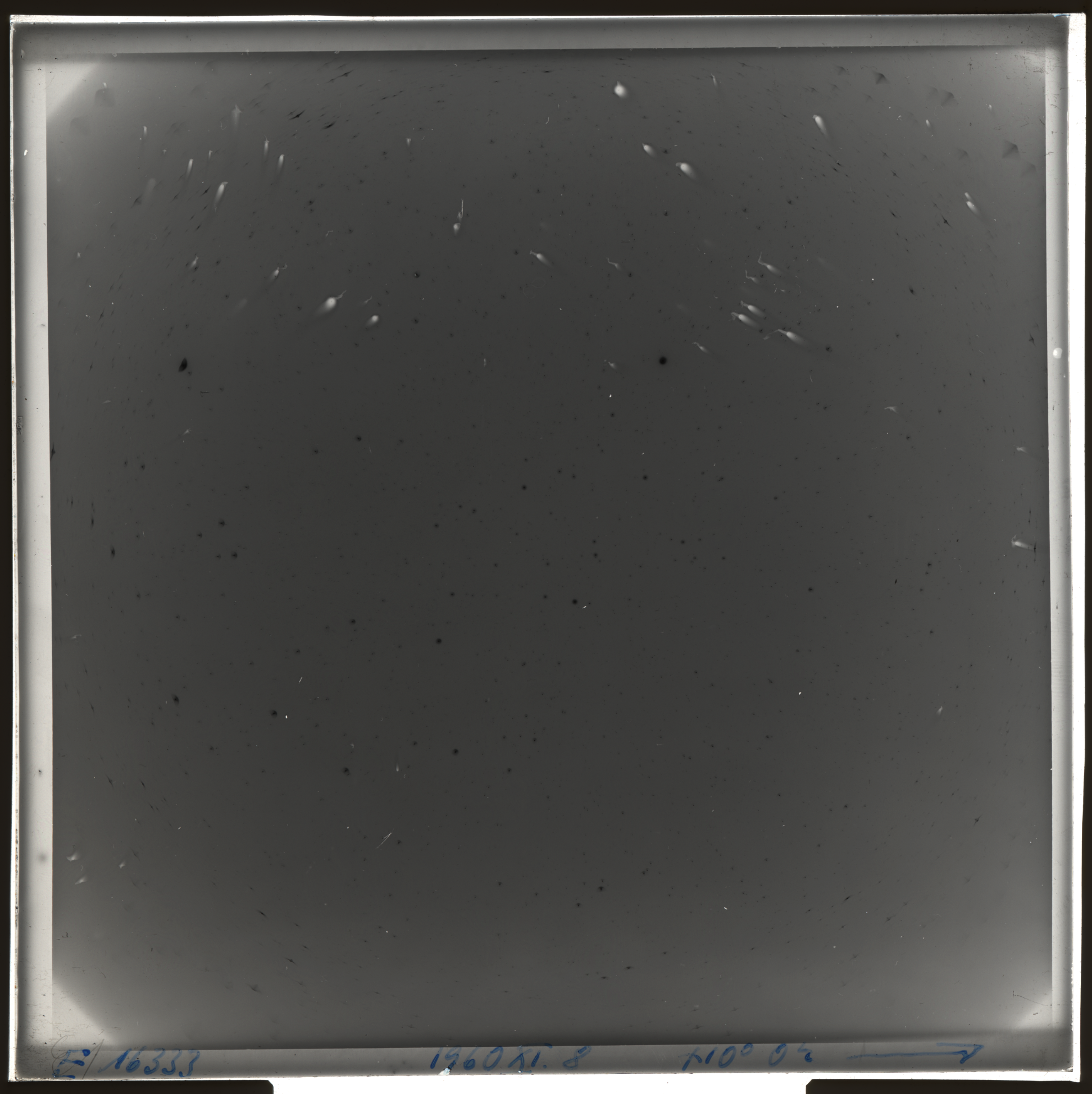 Plate preview