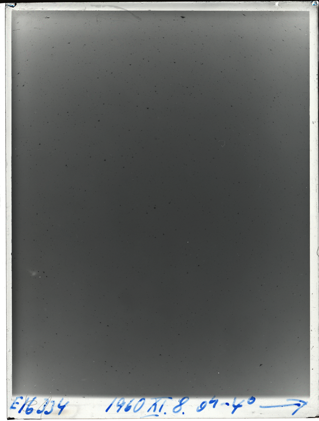 Plate preview
