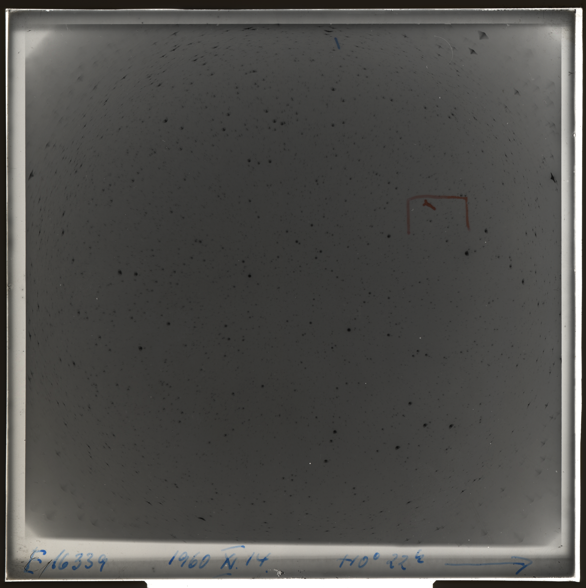 Plate preview
