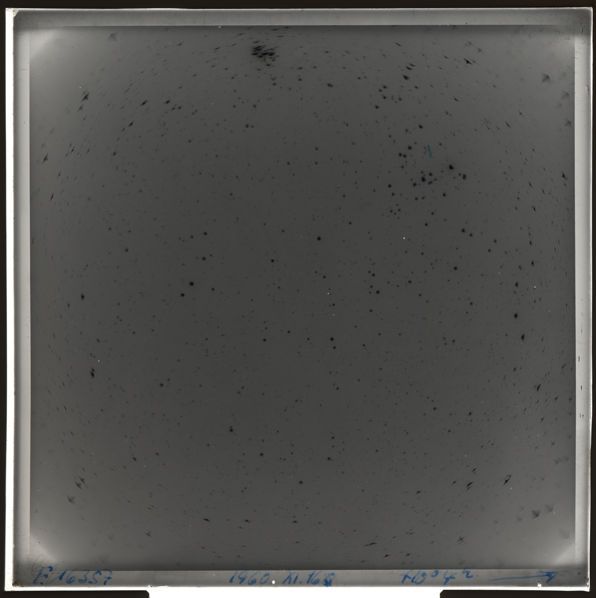 Plate preview