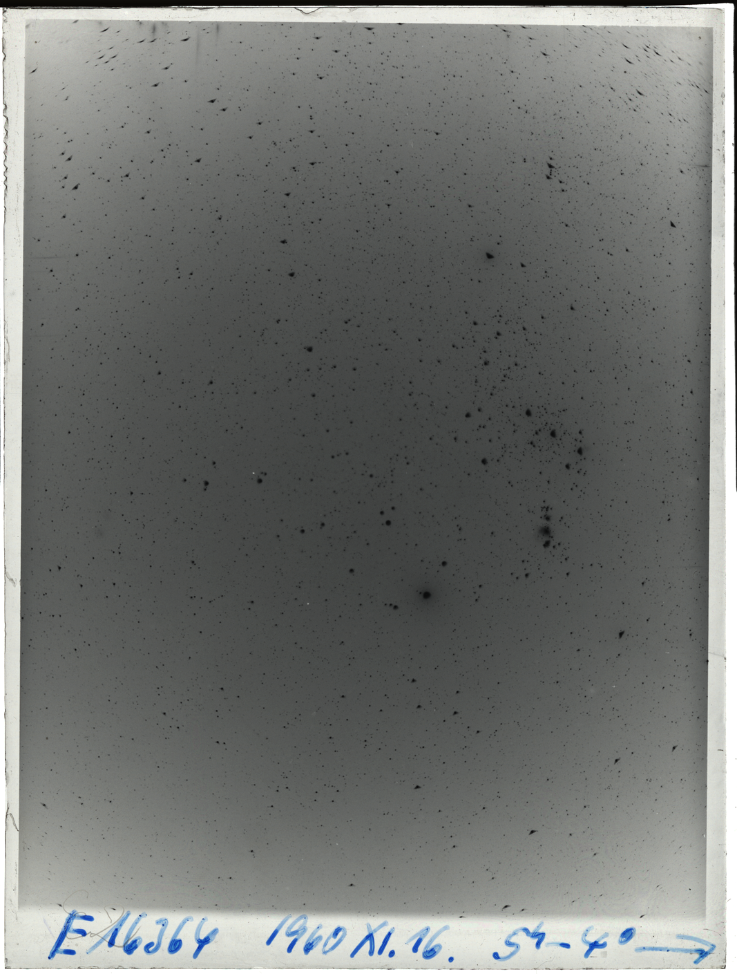Plate preview