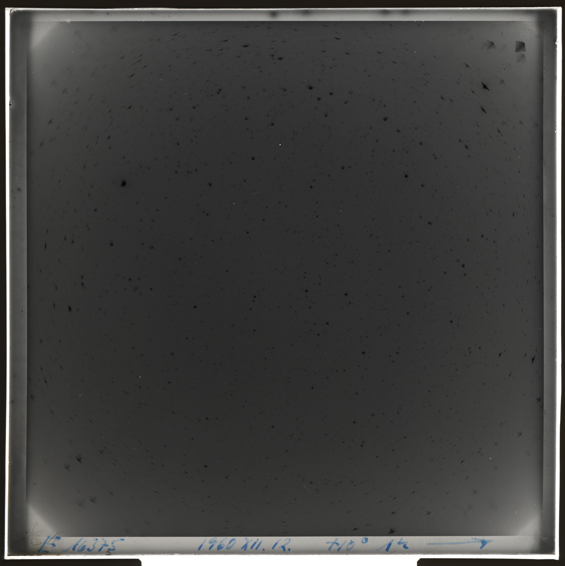Plate preview