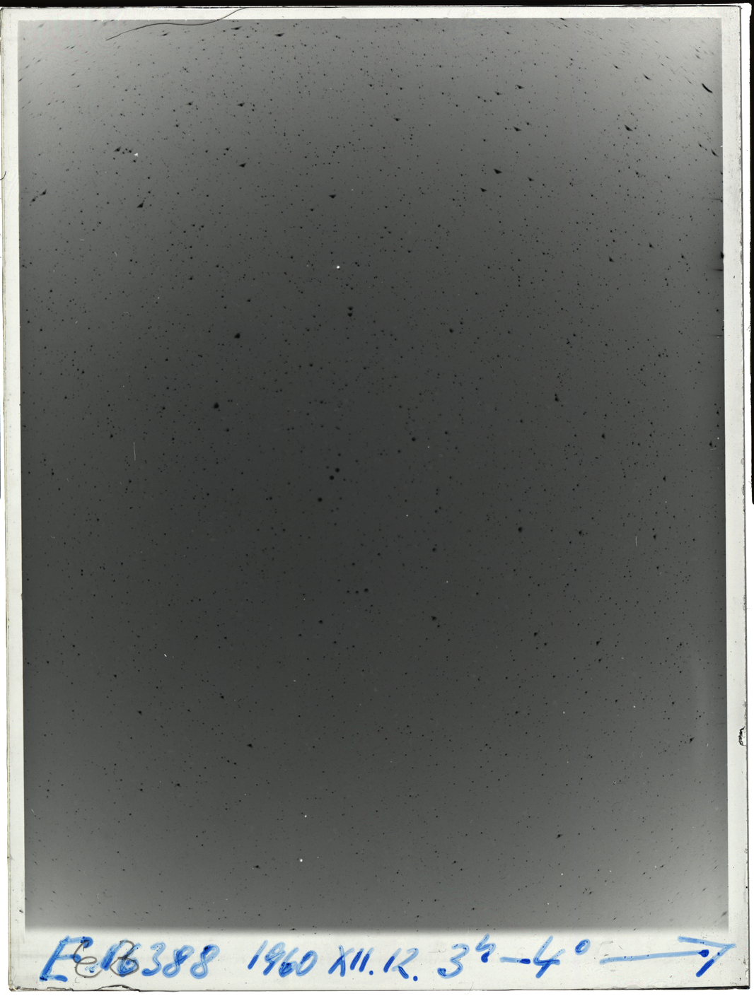 Plate preview