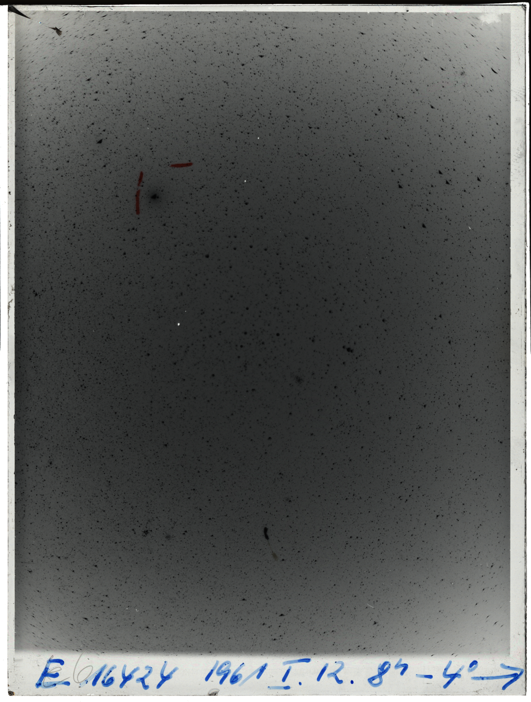 Plate preview