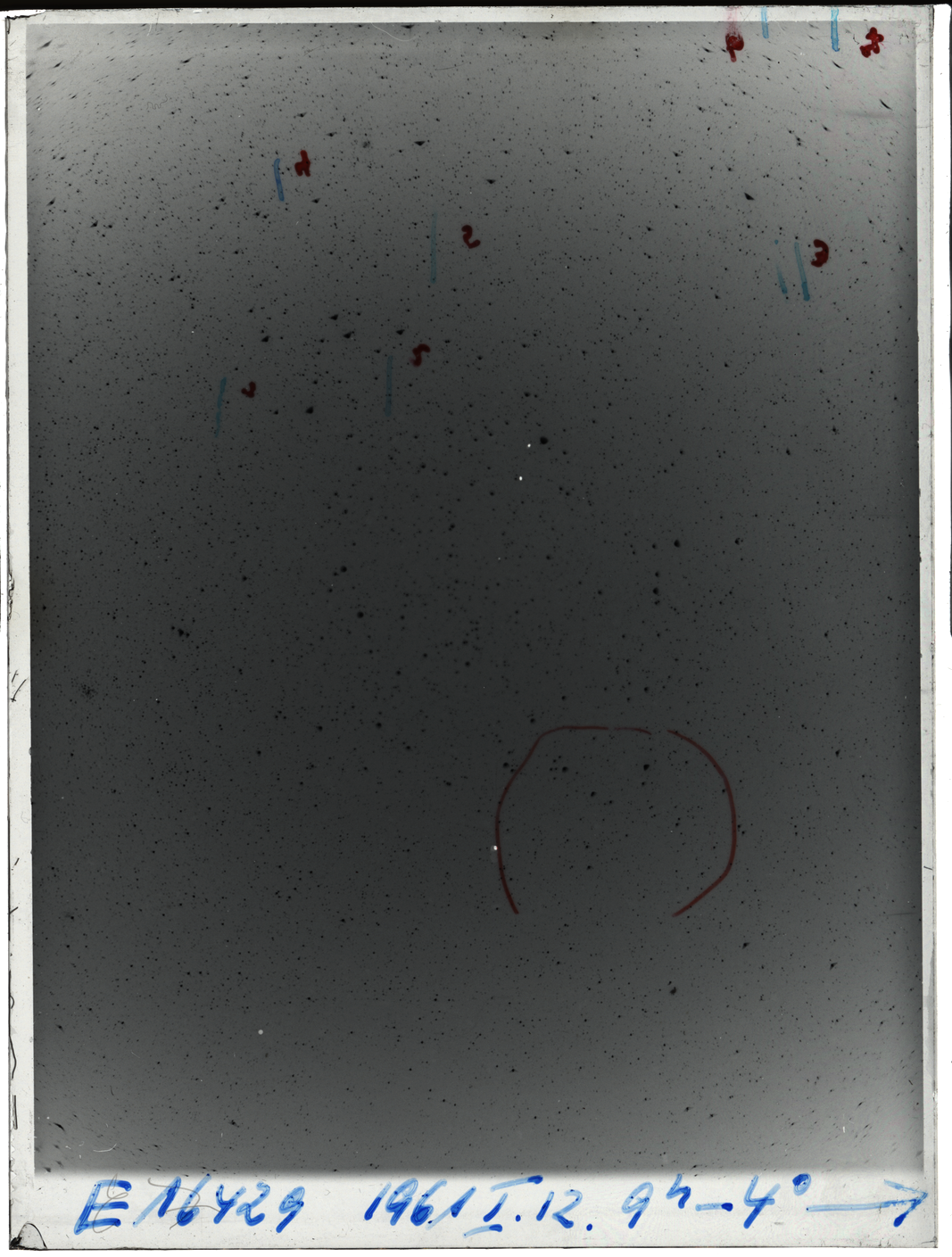 Plate preview