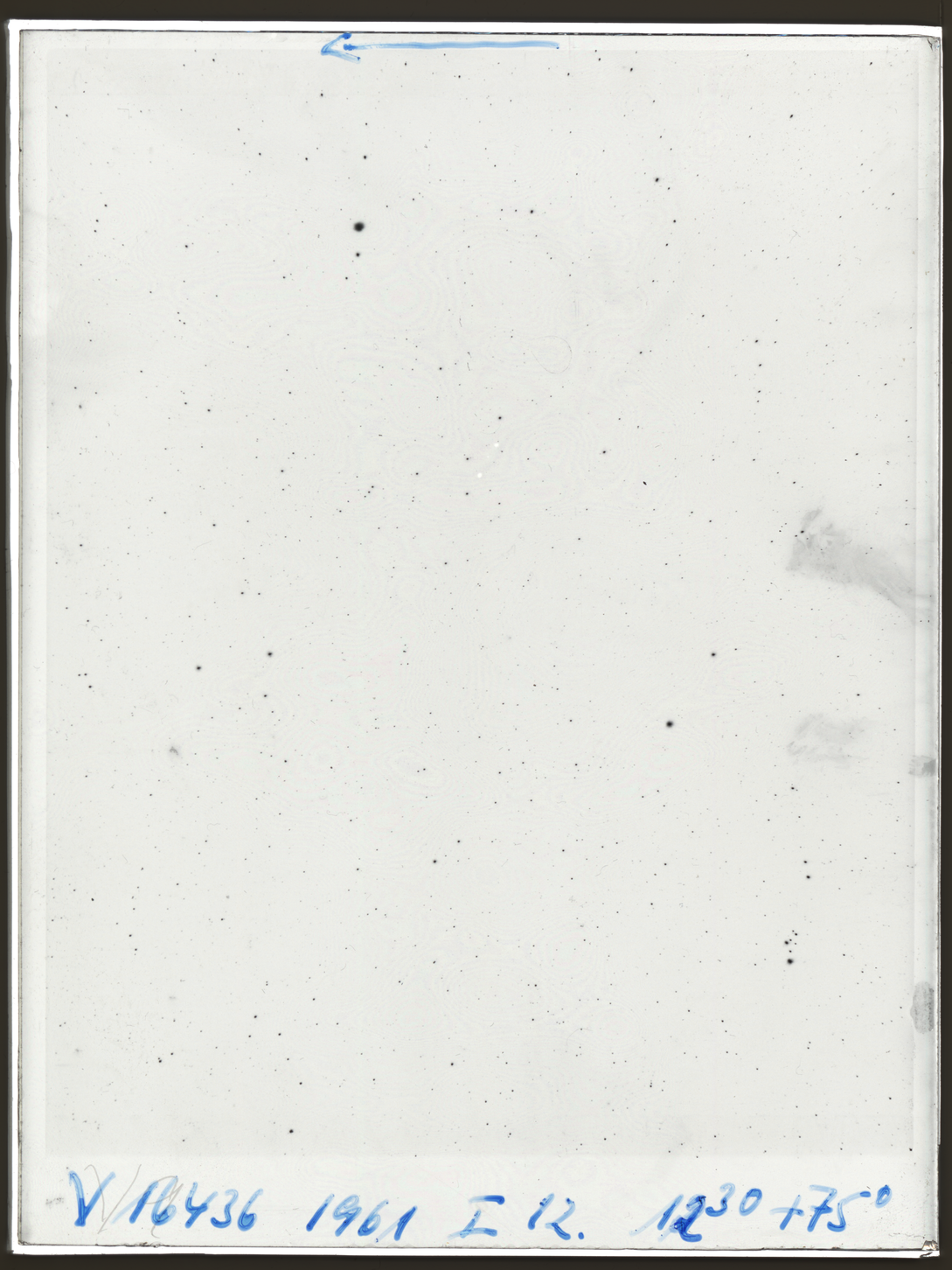 Plate preview