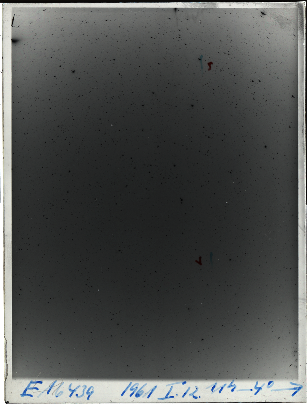 Plate preview