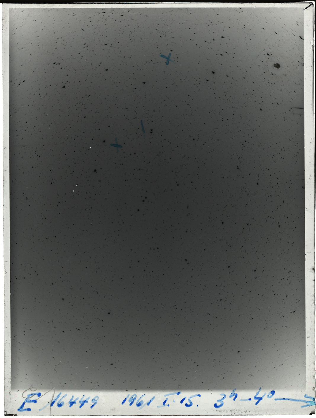 Plate preview