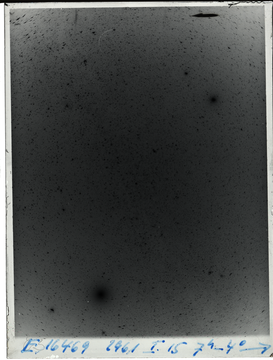 Plate preview